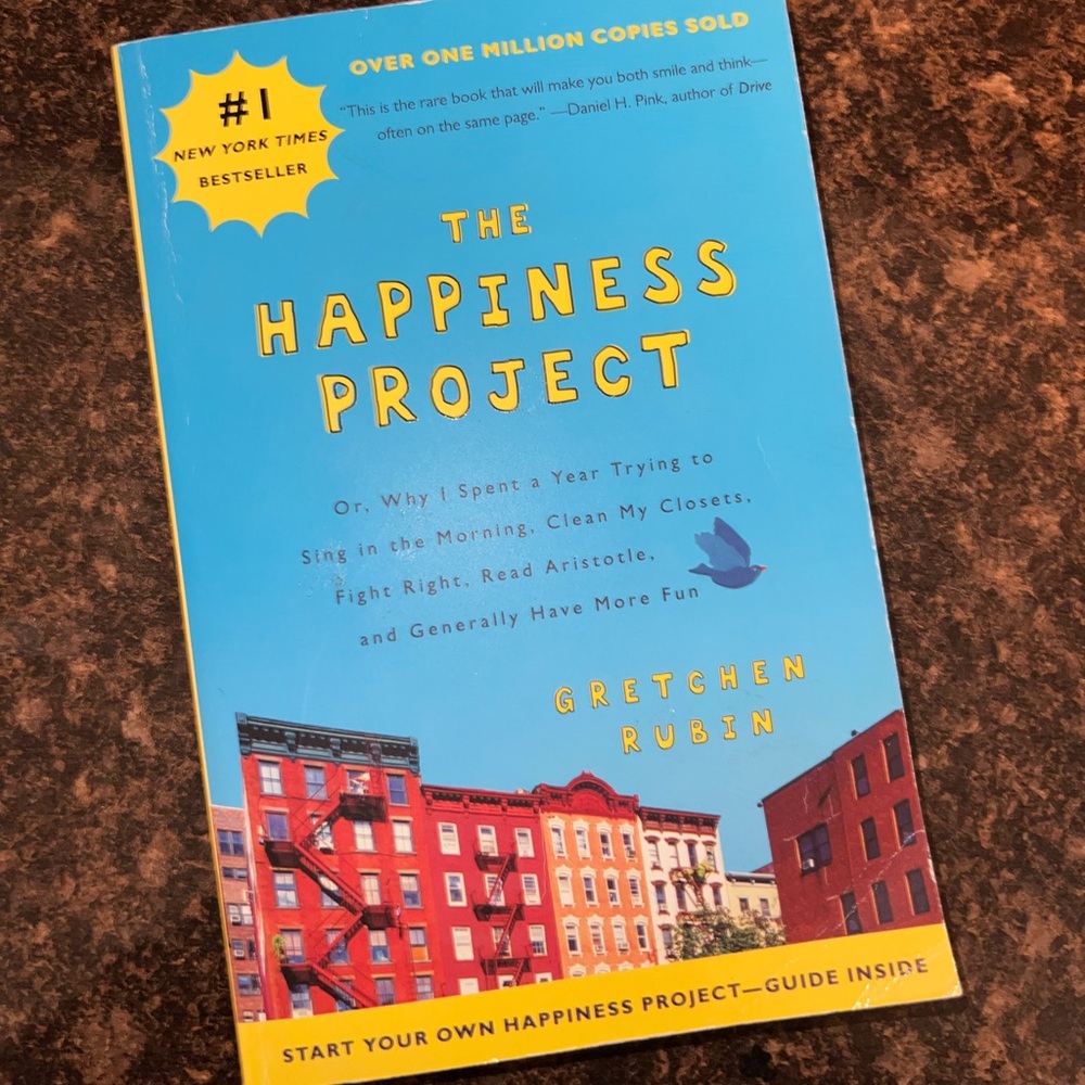 The happiness project book